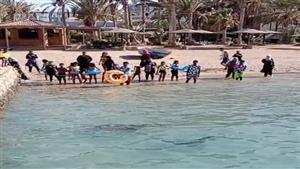 مسالمة وخرجت للولادة.. معهد علوم البحار يعلق على ظهور "شيطان البحر" بشواطئ الغردقة- صور