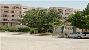 متى تنتهي الموجات الحارة وتستقر حالة الطقس؟.. "عضو الأرصاد" تجيب