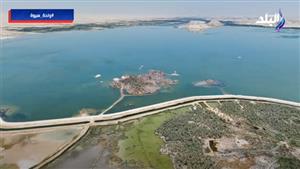 الهيئة الهندسية للقوات المسلحة: ارتفاع نسبة الأملاح أثرت سلبًا على 5 آلاف فدان في واحة سيوة