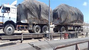 صور.. رفع 76 ألف طن قمامة من شوارع الإسكندرية 