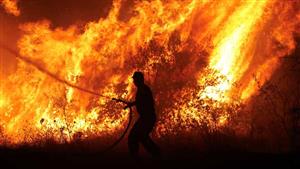 فرق الإطفاء في اليونان تؤكد أن الحرائق بغالبيتها تحت السيطرة