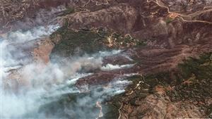 خبراء: حرائق الغابات تهدد النظام البيئي في اليونان