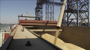 تنديد أوروبي بقرار موسكو إنهاء العمل باتفاق الحبوب