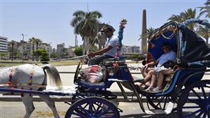 بالحنطور.. 450 سائحا في جولة بشوارع بورسعيد - صور