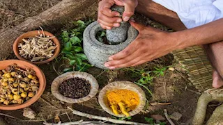 4 أعشاب طبيعية قد تعزز مناعة الجسم وتساعد في مقاومة الأمراض
