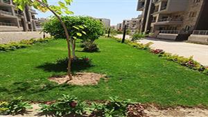 الإسكان: بيع 10 محال تجارية بالحي الـ13 بالشيخ زايد في مزاد علني