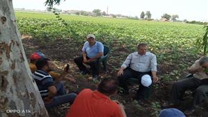 الزراعة: "وقاية النباتات" يكثف حملاته لمتابعة المحاصيل الصيفية الاستراتيجية.