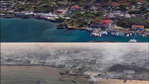 صور وفيديو.. "أوبرا وينفري" تشارك في مساعدة ضحايا حرائق غابات هاواي