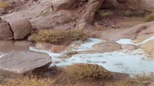 سيول تضرب سانت كاترين.. ومصدر يكشف التفاصيل - صور