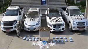 بـ 4 مليون جنيه.. ضبط 14 متهمًا بـ 96 كجم مخدرات في الإسماعيلية والغربية