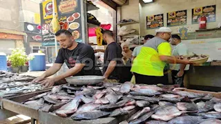 180 جنيها لكيلو الكابوريا.. أسعار الأسماك في سوق العبور اليوم