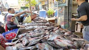 فتش عن المصايف.. تاجر يكشف سبب ارتفاع أسعار الأسماك