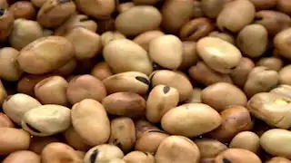 انخفاض أسعار الفول والعدس والزيت والدواجن اليوم الأحد بالأسواق