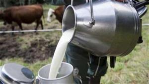 تصل إلى 4 جنيهات.. زيادة جديدة بسعر كيلو اللبن الجاموسي في أغسطس