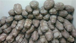  ضبط 3 متهمين بحوزتهم 31 سلاح ناري 260 كجم بانجو في أسيوط