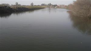 العثور على عجوز غريقة في ترعة الباجورية بالمنوفية