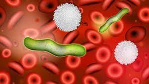 قد تؤدي للوفاة.. احذر علامة تظهر في "الحمام" تكشف تعفن الدم