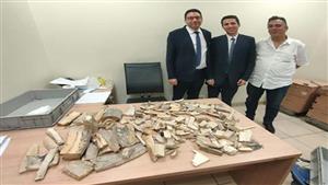 ضبط 16 كجم عاجًا ومخدرات مع راكبين قادمين من لبنان وإسبانيا بمطار القاهرة