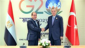 خبير سياسي يكشف كواليس لقاء الرئيس السيسى بأردوغان 