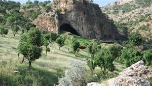 اكتشاف مذهل.. سر الزهور في قبر إنسان نياندرتال العراقي (صور)