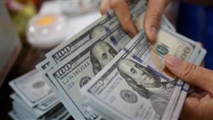 تعادل 12.5 مليار جنيه.. حصيلة الدولار تقفز بـ3 شركات صرافة بعد التعويم