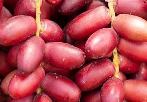 البلح الأحمر للحامل- إليكِ فوائده