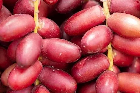 البلح الأحمر لمرضى مقاومة الأنسولين.. مفيد أم ضار؟