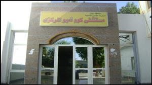 سيارة مجهولة تلقي جثتين أمام مستشفى كوم أمبو بأسوان