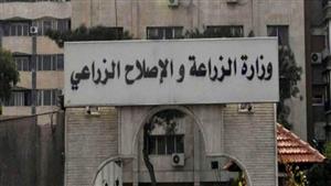 الزراعة: علاج وفحص أكثر من 3200 رأس ماشية مجانًا في قنا