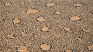 صورة: الدوائر الخيالية الغامضة.. العلماء يفشلون في حل اللغز