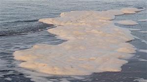 بالصور.. مشهد "زَبَد البحر" يجذب المصطافين في بورسعيد