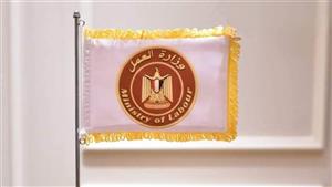 العلاج بالمجان والكشف عن العاملين.. "العمل" تطلق حملة 100 يوم صحة