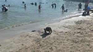 آخر فرصة قبل المدارس.. تعرف على حالة البحر بشواطئ الإسكندرية- صور 