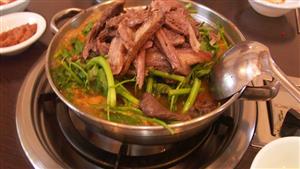 قانون تاريخي.. لحم الكلاب محظور في هذه الدولة