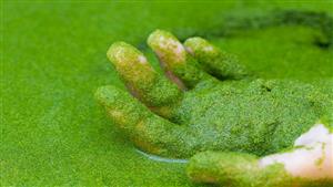 صورة.. هذا طعام المستقبل للبشر في الفضاء