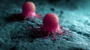 بلوجر تكشف علامة غير معروفة لسرطان الدم.. وتحذير من هذا الأمر