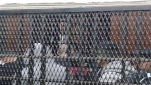 في واقعة "مزارع غمازة".. الجنايات تعاقب لصوص نص الليل بُحكم رادع 