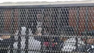 قرار قضائي جديد بشأن محاكمة 92 متهمًا بـ"خلية النزهة"