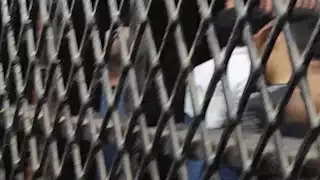 المؤبد للمتهم بقتل نجل لاعب الزمالك السابق في حلوان 