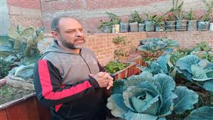 قرنبيط وباذنجان وطماطم.. باسم تخلص من "الكراكيب" وحول سطح منزله إلى حقل صغير - صور