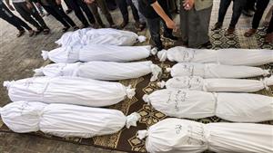 الحكومة بغزة: استشهاد 13790 طفلًا و9100 سيدة خلال 160 يومًا من العدوان الإسرائيلي