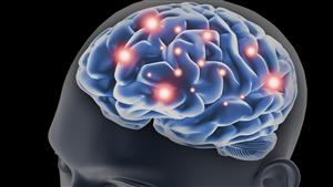 صدمة لكل عشاق العالم.. هل الحب كيمياء أم مشاعر؟