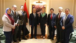 وزير الكهرباء: مشروع الربط الكهربائي بين مصر واليونان سيجعلنا مركزًا إقليميًا 