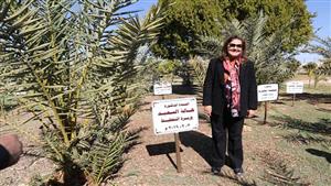 غرست نخلة باسمها.. وزيرة التخطيط تتفقد العاصمة الإدارية الجديدة في الوادي الجديد- صور