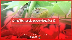 12 مخلوقا يتحدون الزمن والكوارث عبر ملايين السنين.. ما هى؟