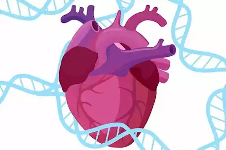 9 نصائح لتقليل خطر الإصابة بأمراض القلب