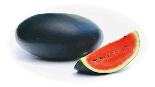 ماذا يحدث لجسمك عند تناول البطيخ على معدة فارغة؟.. مفاجأة صادمة 