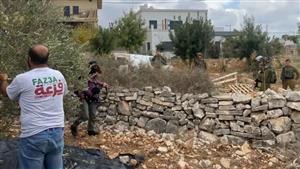 الاحتلال يمنع فلسطينيين من قطف الزيتون بالضفة (فيديو)