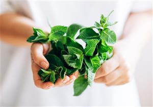 هل النعناع مهدئ للسعال؟