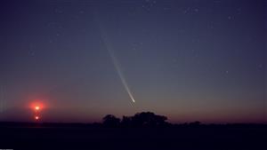 زائر من العصر الحجري يعود للأرض بعد غياب 80 ألف عام